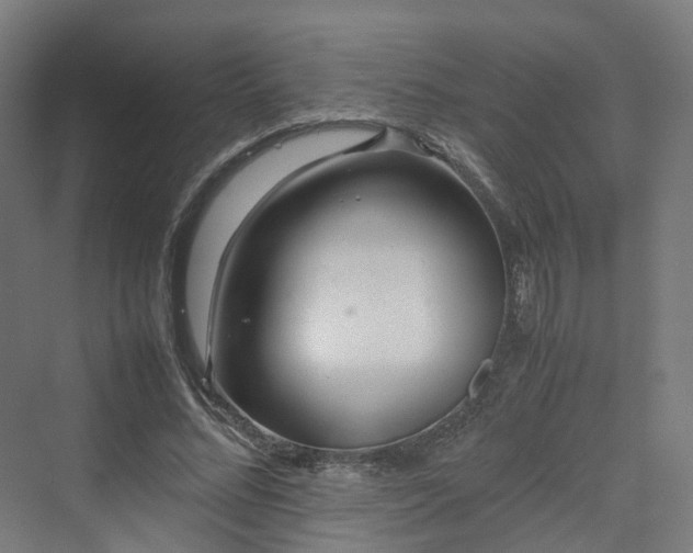 X0000070230684200606021348