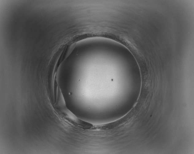 X0000070230685200606021348