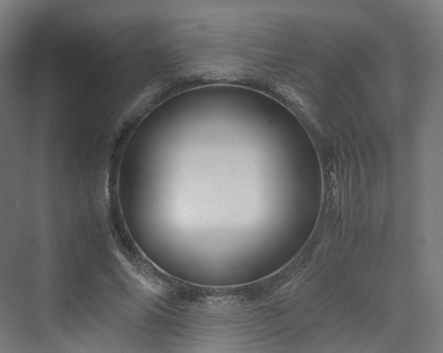 X0000070230686200606021348