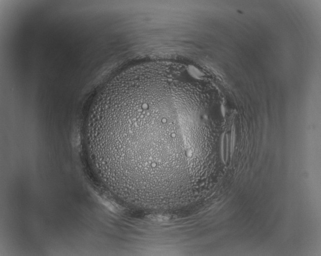 X0000070230687200606021348