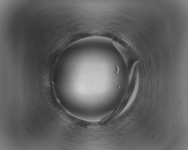 X0000070230689200606021348