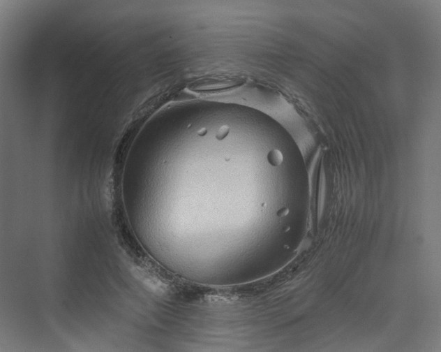 X0000070230690200606021348