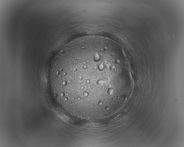 X0000070230691200606021348