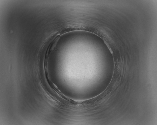 X0000070230692200606021347