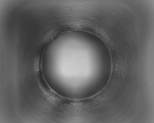 X0000070230694200606021347