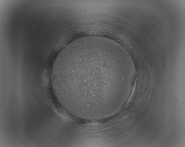 X0000070230695200606021347