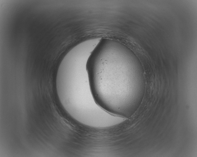 X0000070230696200606021347