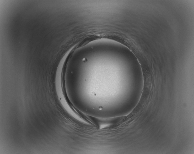 X0000070230697200606021347