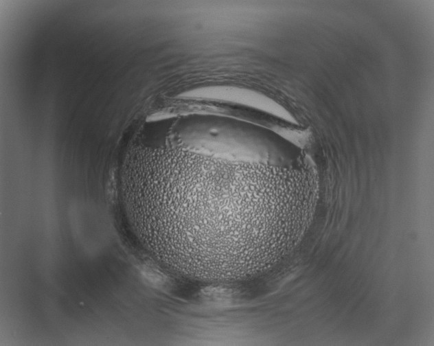 X0000070230699200606021347