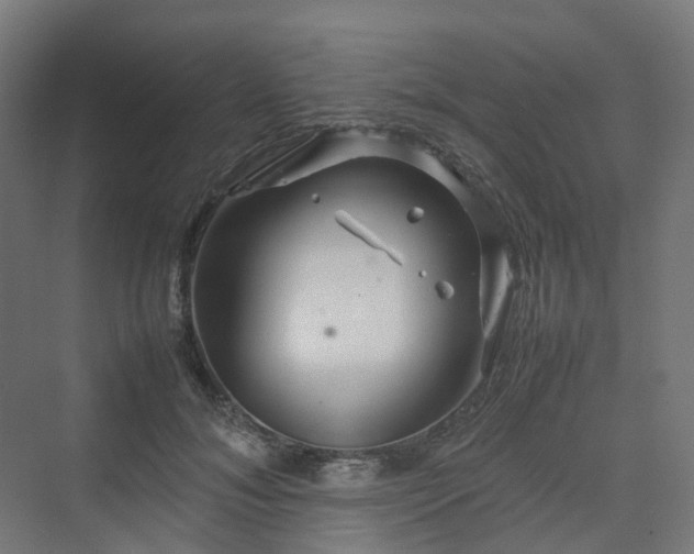 X0000070230700200606021347