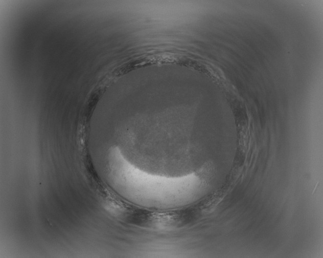 X0000070230701200606021347