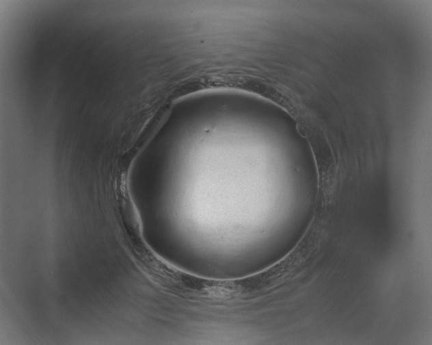 X0000070230703200606021347