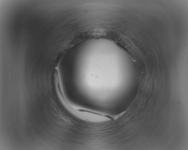 X0000070230704200606021347