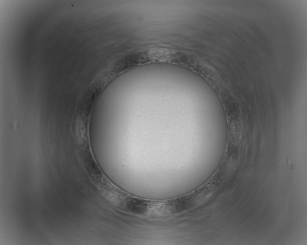 X0000070230705200606021347