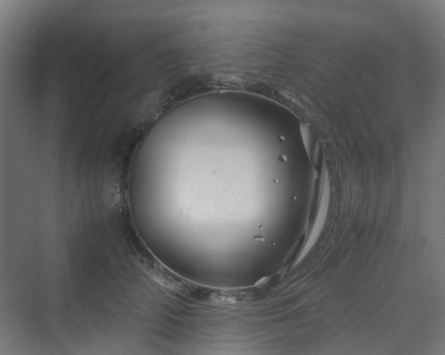 X0000070230706200606021347