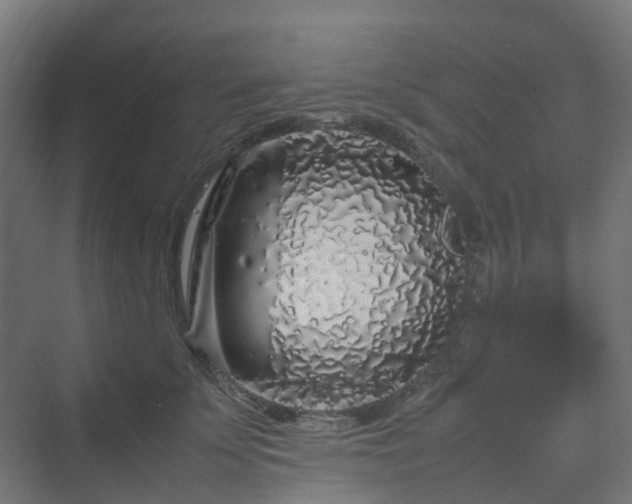 X0000070230707200606021347