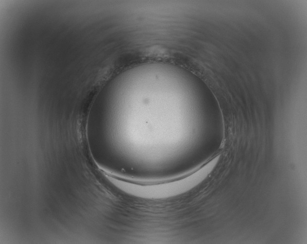 X0000070230708200606021347