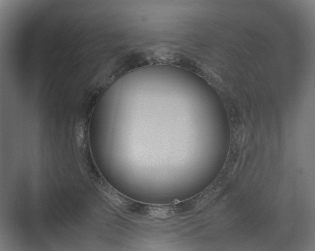 X0000070230709200606021347