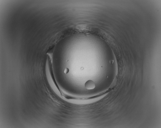 X0000070230710200606021347