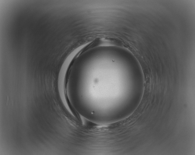 X0000070230712200606021347