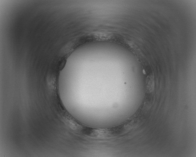 X0000070230713200606021347