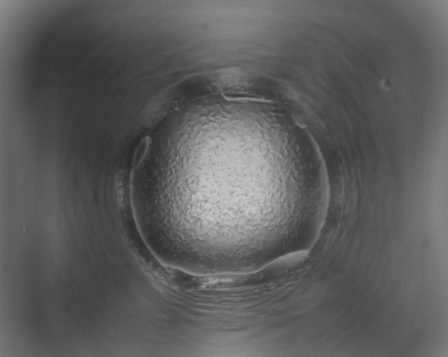 X0000070230715200606021347