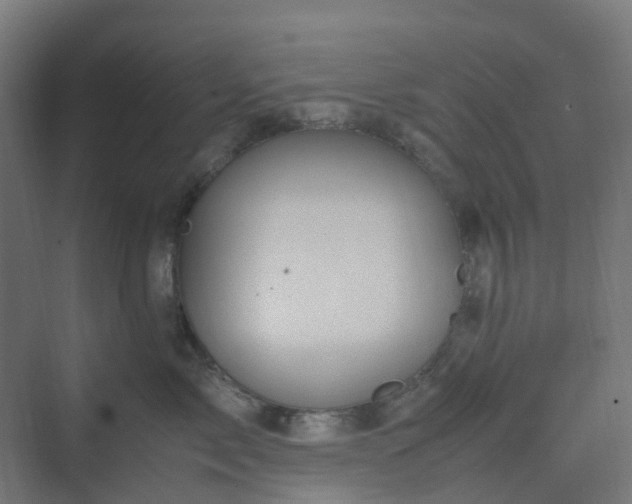 X0000070230717200606021347