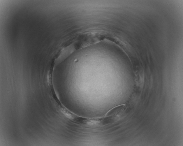 X0000070230718200606021347