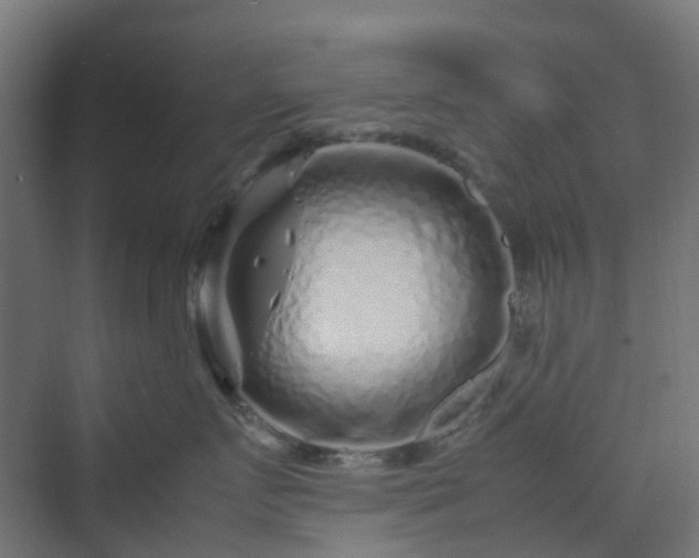 X0000070230719200606021347