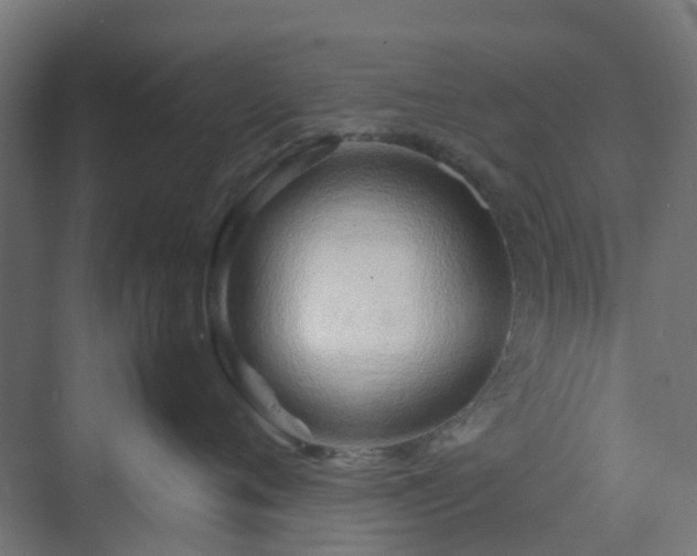 X0000070230720200606021347