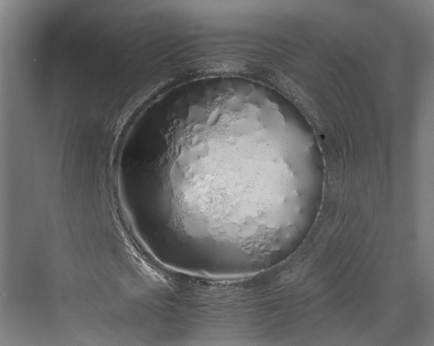 X0000070230721200606021346