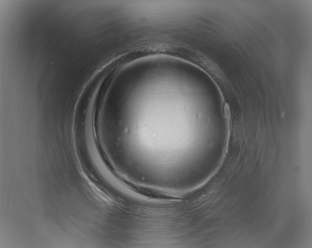 X0000070230722200606021346