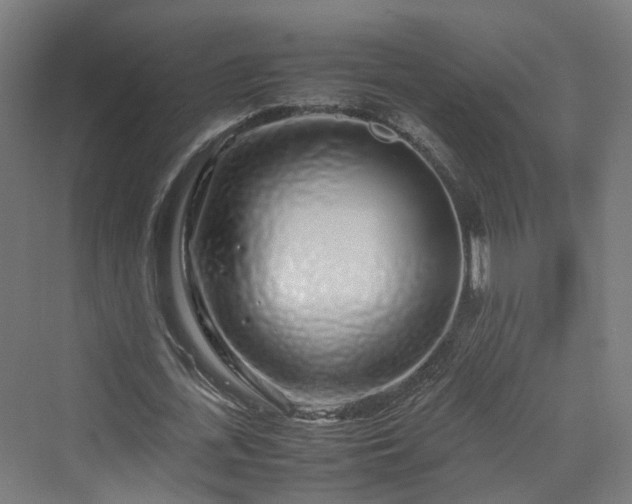 X0000070230723200606021346