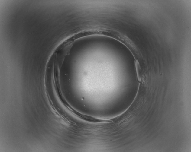 X0000070230724200606021346