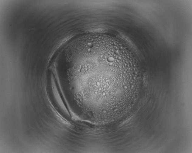 X0000070230725200606021346