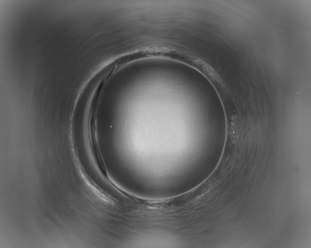 X0000070230726200606021346