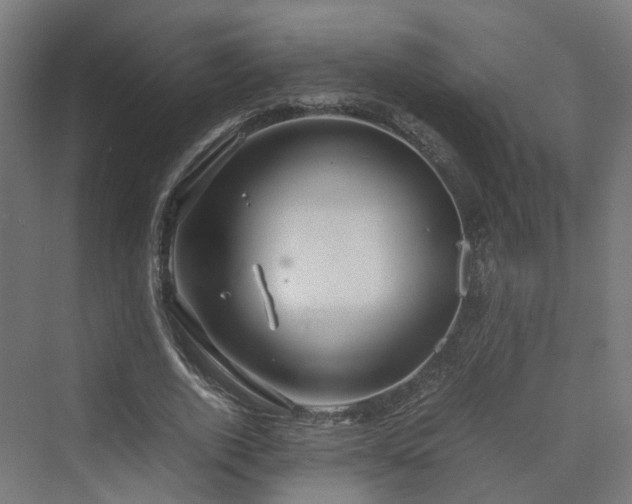 X0000070230728200606021346