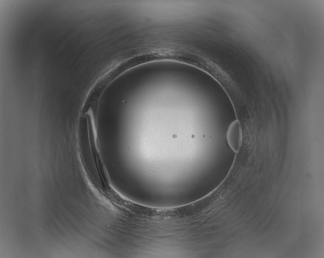 X0000070230730200606021346