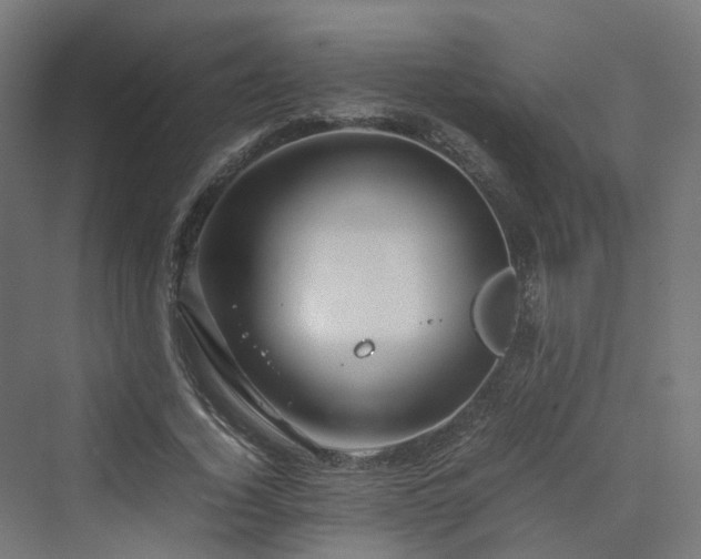 X0000070230732200606021346