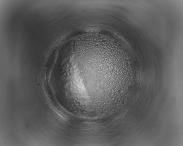 X0000070230733200606021346