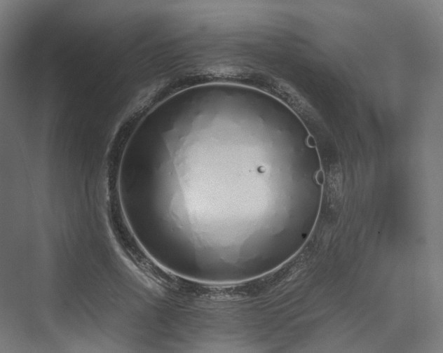 X0000070230734200606021346