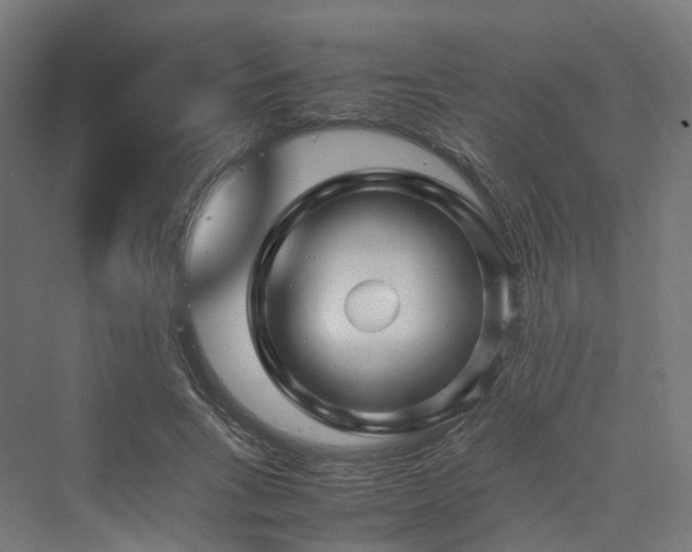 X0000070230735200606021346