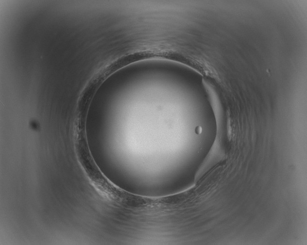 X0000070230736200606021346