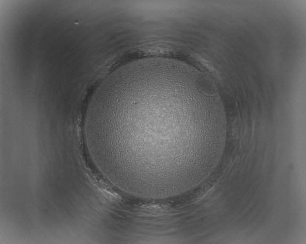 X0000070230737200606021346