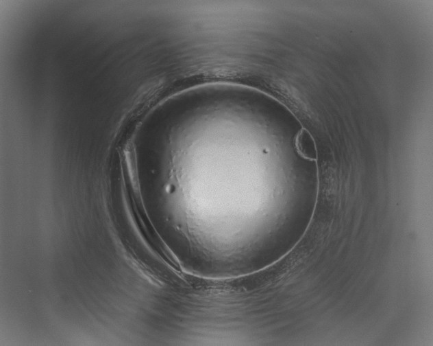 X0000070230738200606021346