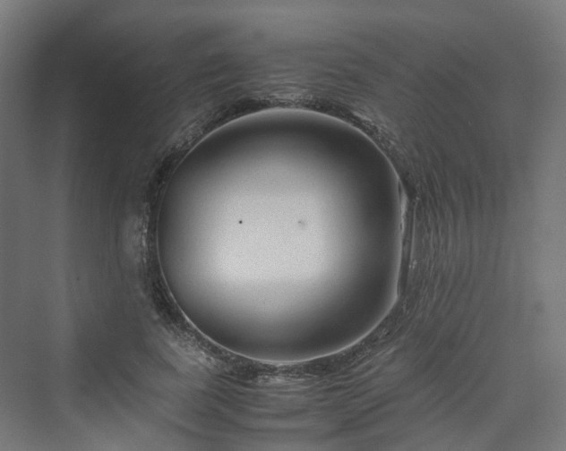 X0000070230739200606021347