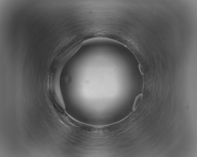 X0000070230740200606021347