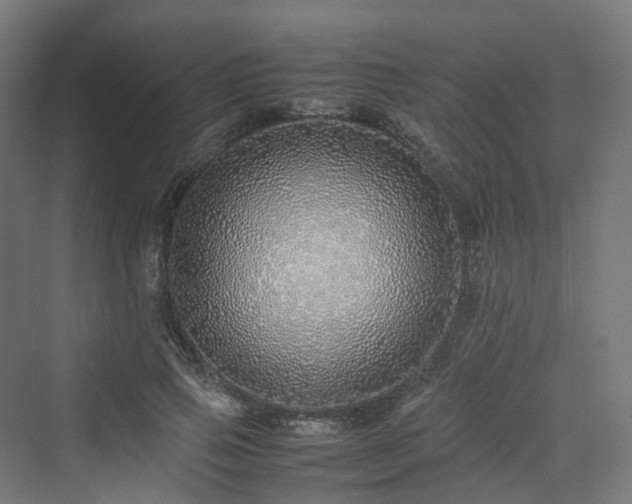 X0000070230741200606021347