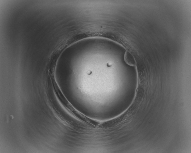 X0000070230742200606021347