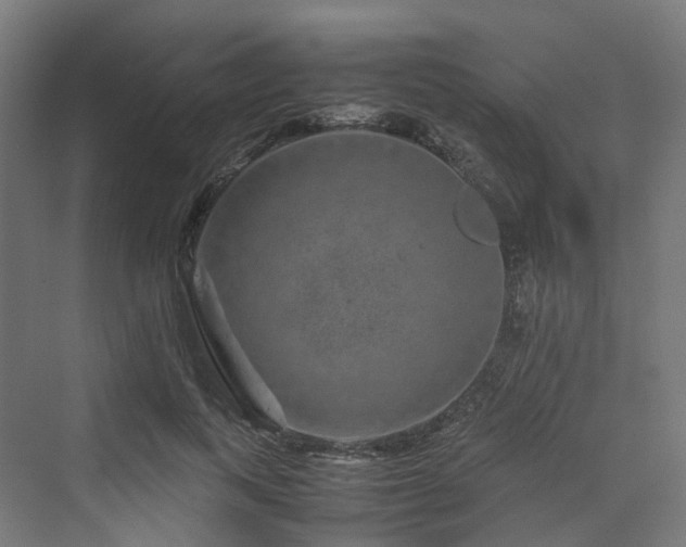 X0000070230743200606021347